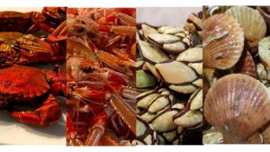 Pescados & Mariscos Frescos